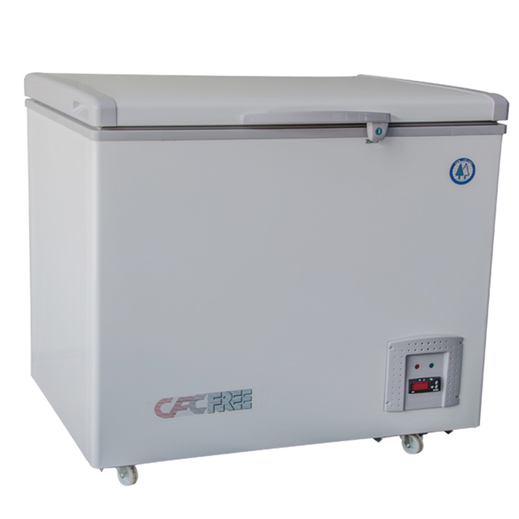 DSW-F G108卧式低温展示柜