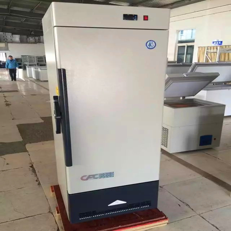 DSL-A B C328-550L立式低温冰箱