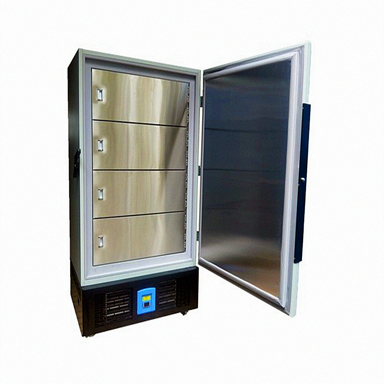 DSL-A B C638-938L立式低温冰箱实验室低温保存箱